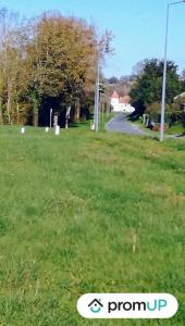 Vente Terrain PECHEREAU 36200