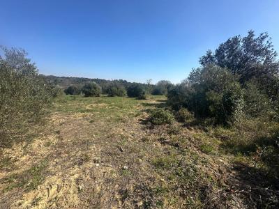 Vente Terrain PIGNAN 34570