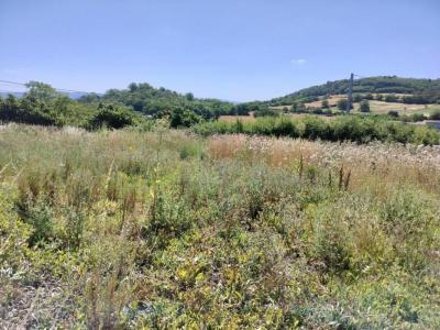 Vente Terrain BEAUREGARD-L'EVEQUE 63116