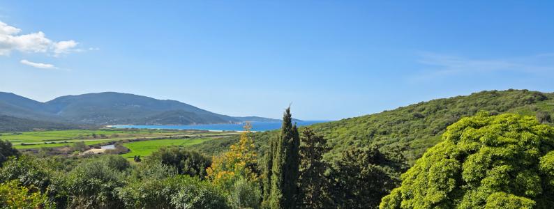 Vente Appartement 3 pices PROPRIANO 20110