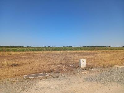 Vente Terrain BOURGNEUF 17220