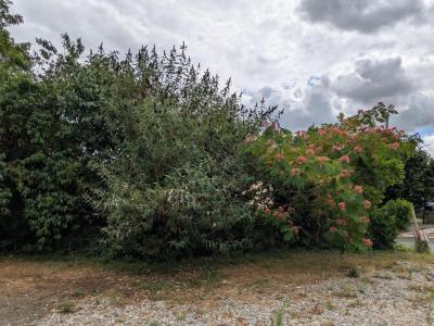 Vente Terrain SOULIGNE-FLACE 72210