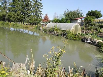 Vente Terrain BUFFIGNECOURT 70500