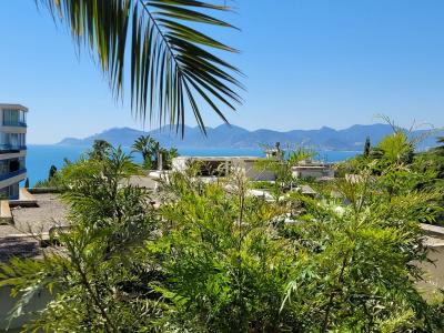 Vente Appartement 4 pices CANNES 06400