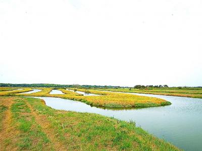 Vente Terrain ILE-D'OLONNE 85340