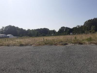 Vente Terrain FROIDFOND 85300