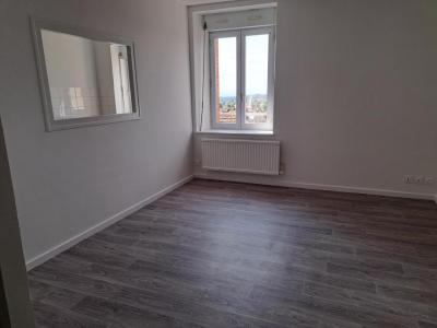 Location Appartement 3 pices ROZIER-EN-DONZY 42810