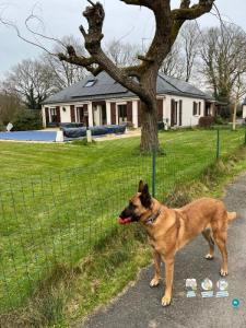 Location Maison SUCE-SUR-ERDRE 44240