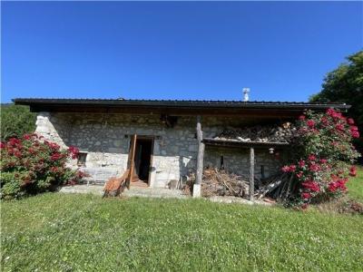Vente Maison THOIRY 01710