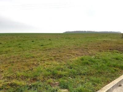 Vente Terrain FERREUX-QUINCEY 10400