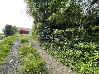 Vente Terrain SAINT-MARTIN-D'HARDINGHEM 62560