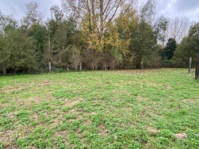 Vente Terrain RIEULAY 59870
