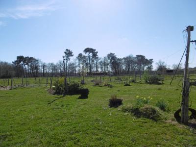 Vente Maison 2 pices LANGON 33210
