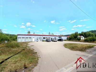 Vente Commerce NEUFCHATEAU 88300