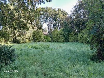 Vente Terrain PLOUGASTEL-DAOULAS 29470