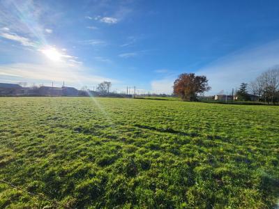 Vente Terrain PONT-DE-VAUX 01190