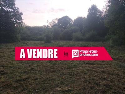 Vente Terrain SAINT-GUYOMARD 56460