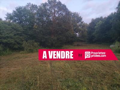 Vente Terrain SAINT-GUYOMARD 56460