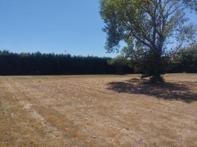Vente Terrain LABARTHE-SUR-LEZE 31860