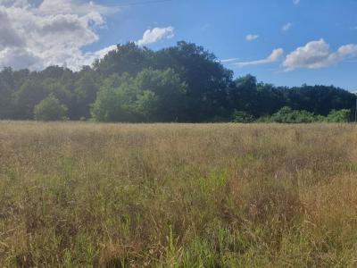 Vente Terrain CASTELNAU-DE-MEDOC 33480