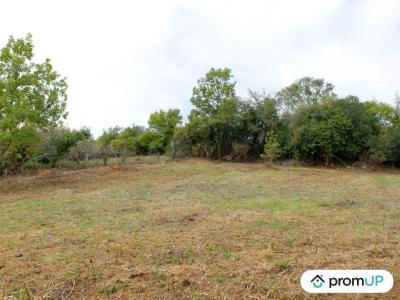 Vente Terrain SAINT-CYPRIEN 24220