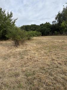 Vente Terrain SAINT-CAPRAIS-DE-BORDEAUX 33880