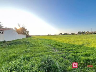 Vente Terrain LAGORD 17140