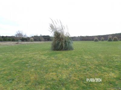 Vente Terrain SOUSTONS 40140