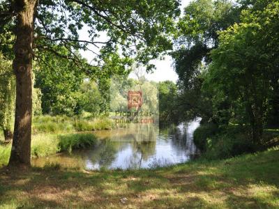 Vente Terrain AHUILLE 53940