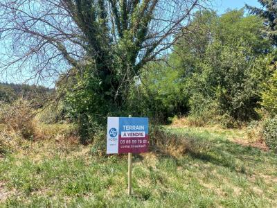 Vente Terrain SAINT-VALLIER 71230