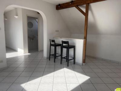 Location Appartement 4 pices OSTHEIM 68150