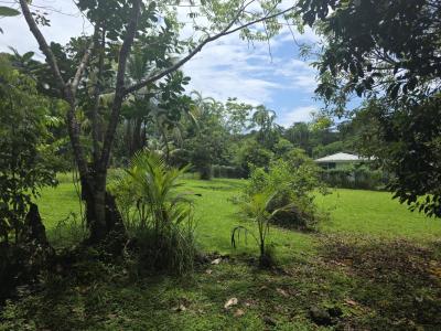 Vente Terrain MATOURY 97351