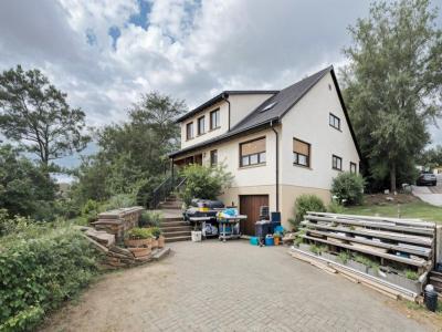 Vente Maison 9 pices WASSELONNE 67310