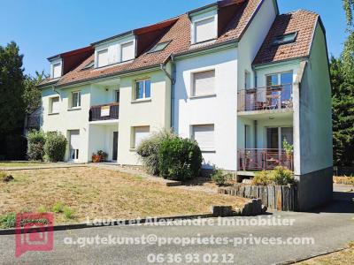 Location Appartement 3 pices HOCHFELDEN 67270