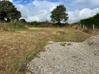 Vente Terrain VUE 44640