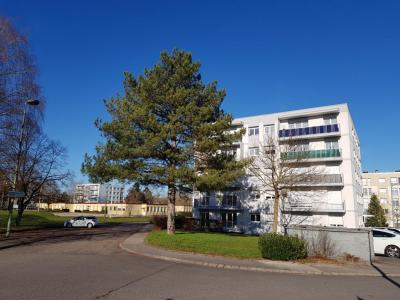 Location Appartement 4 pices NEUFCHATEAU 88300