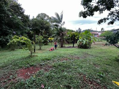 Vente Terrain REMIRE-MONTJOLY 97354