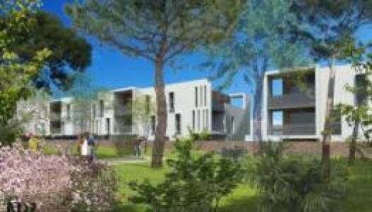 Location Appartement 2 pices MONTPELLIER 34070