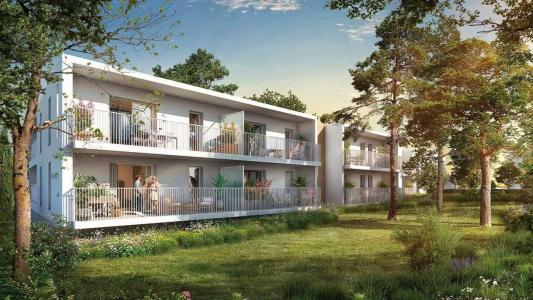 Location Appartement 2 pices MONTPELLIER 34090