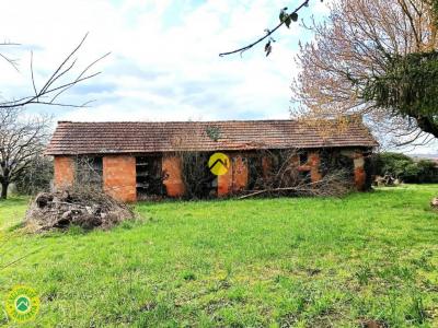 Vente Maison 5 pices BELVES 24170