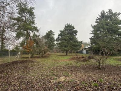 Vente Terrain SAINT-DENIS-DE-L'HOTEL 45550