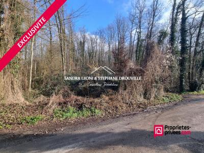 Vente Terrain JOUY 28300