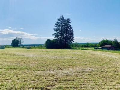 Vente Terrain SAINT-AMOUR 39160