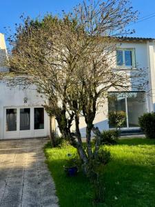 Vente Maison 3 pices SAINTES 17100