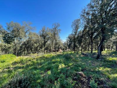 Vente Terrain THORONET 83340
