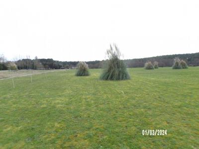 Vente Terrain SOUSTONS 40140