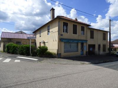 Vente Immeuble AVRICOURT 54450