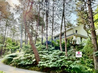 Vente Maison 7 pices NEUFCHATEL-HARDELOT 62152