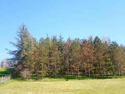 Vente Terrain LOMBERS 81120