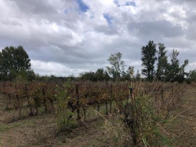 Vente Terrain CASTILLON-DU-GARD 30210